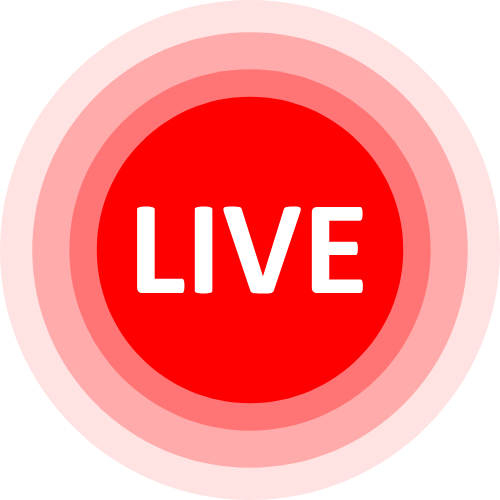 Lovense Usernames
